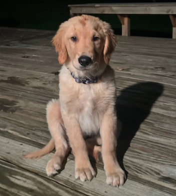 Tonka