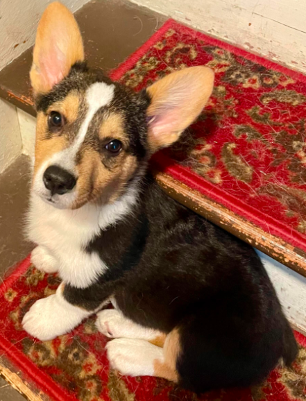Benny