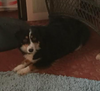 Rita