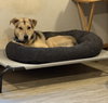 Nikolai - Photo 2