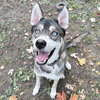 Niles - Photo 1
