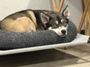 Niles - Photo 2