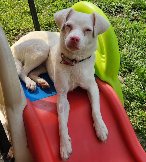 Juanita