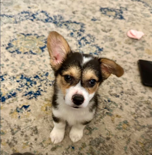 Walter