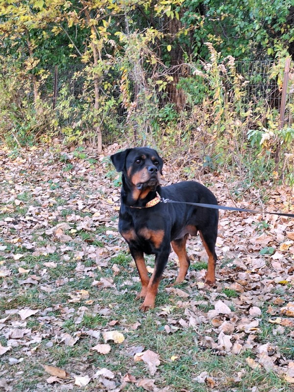 Ruthie