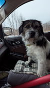 Winston