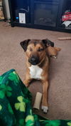 Della