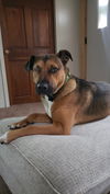 Della