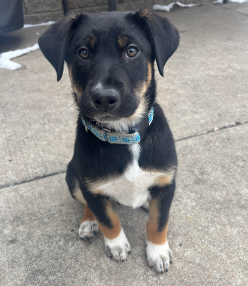 Tito