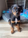 Rory