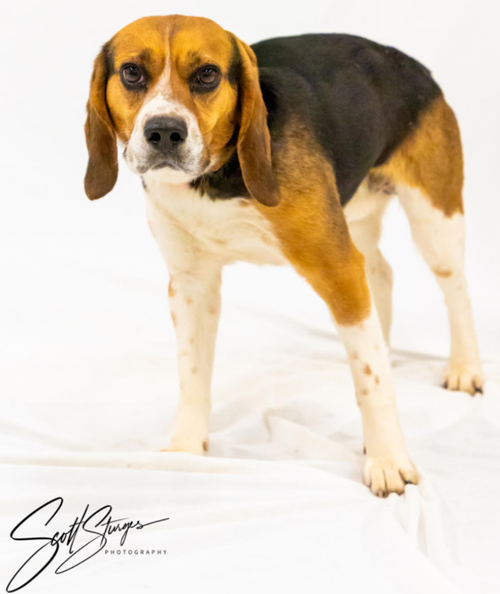 Benny