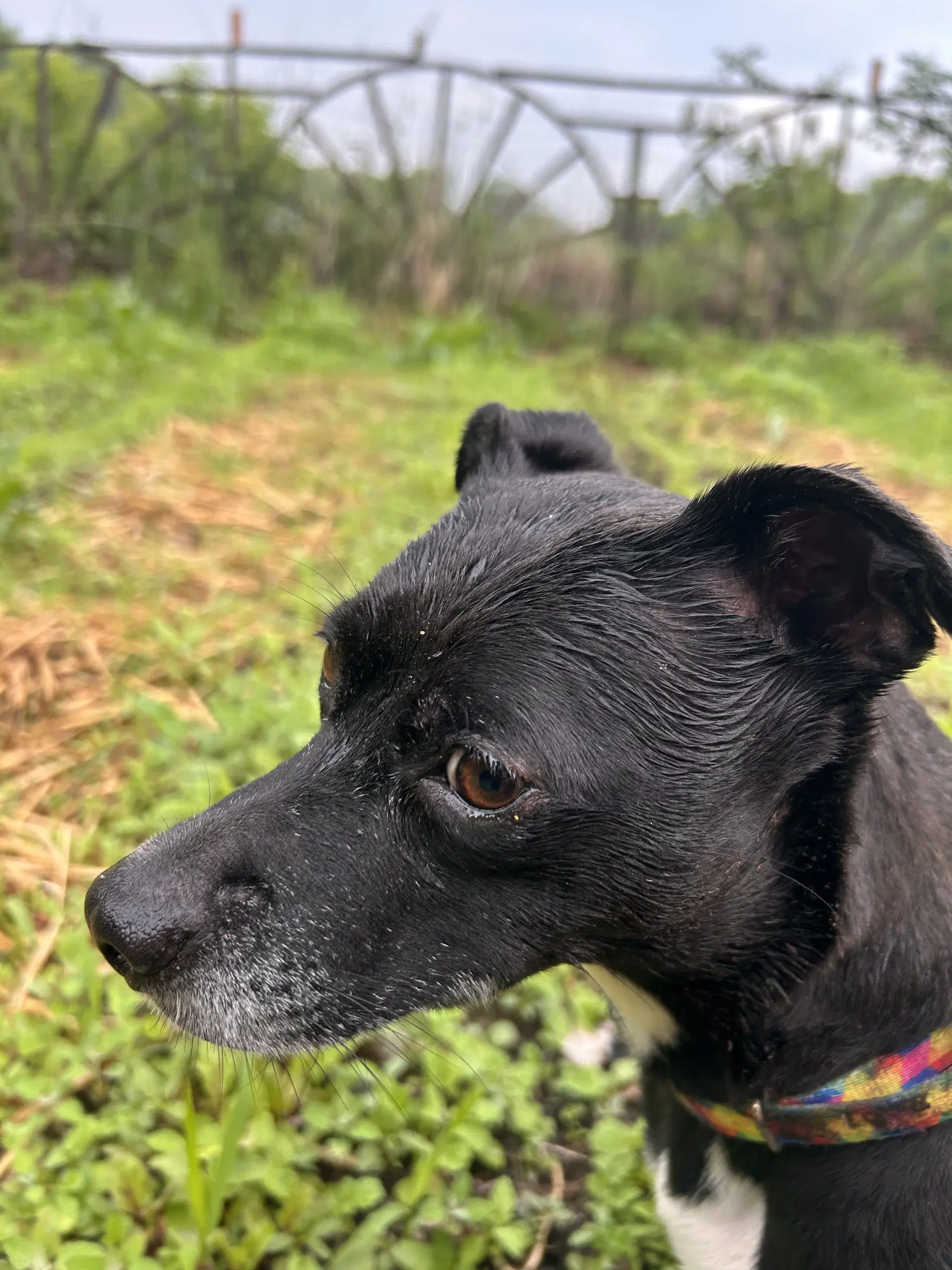 Zoe image 3