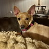 Maggie - Photo 1