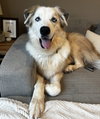 Elsa