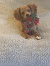 Nora