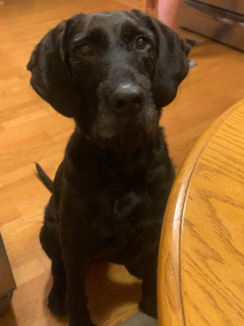 Addie