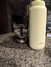 Nyx