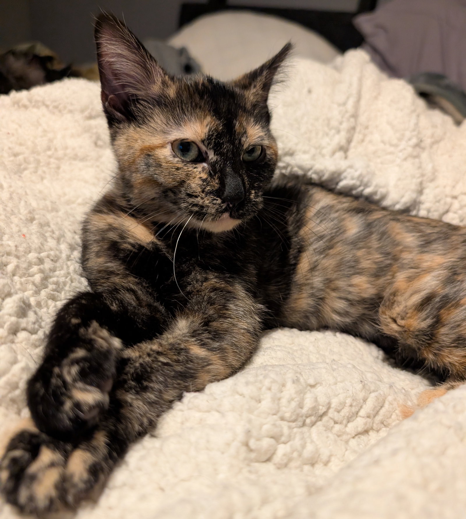 Nyx