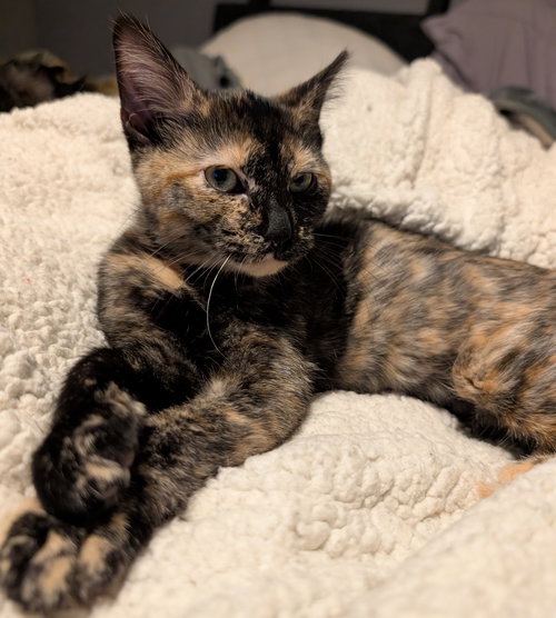 Nyx