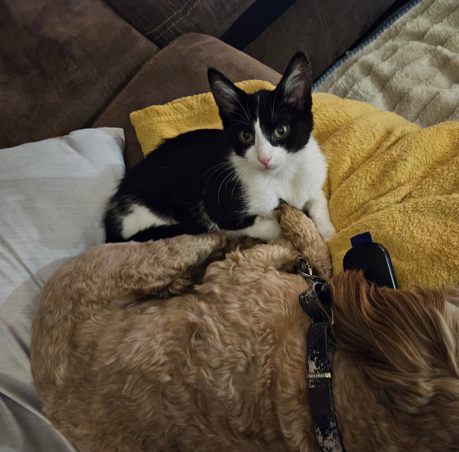 Patches