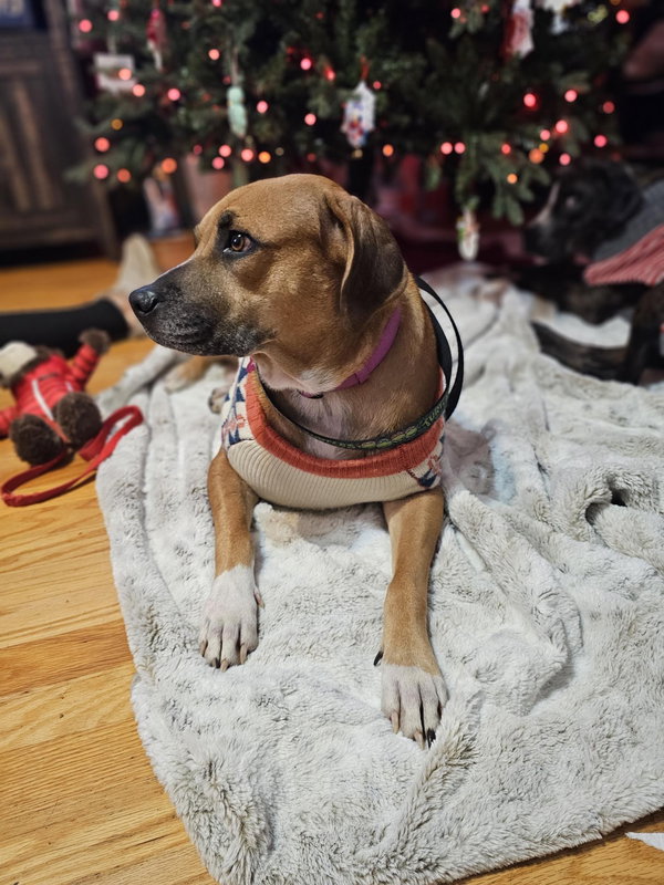 Amy