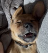 Ryder