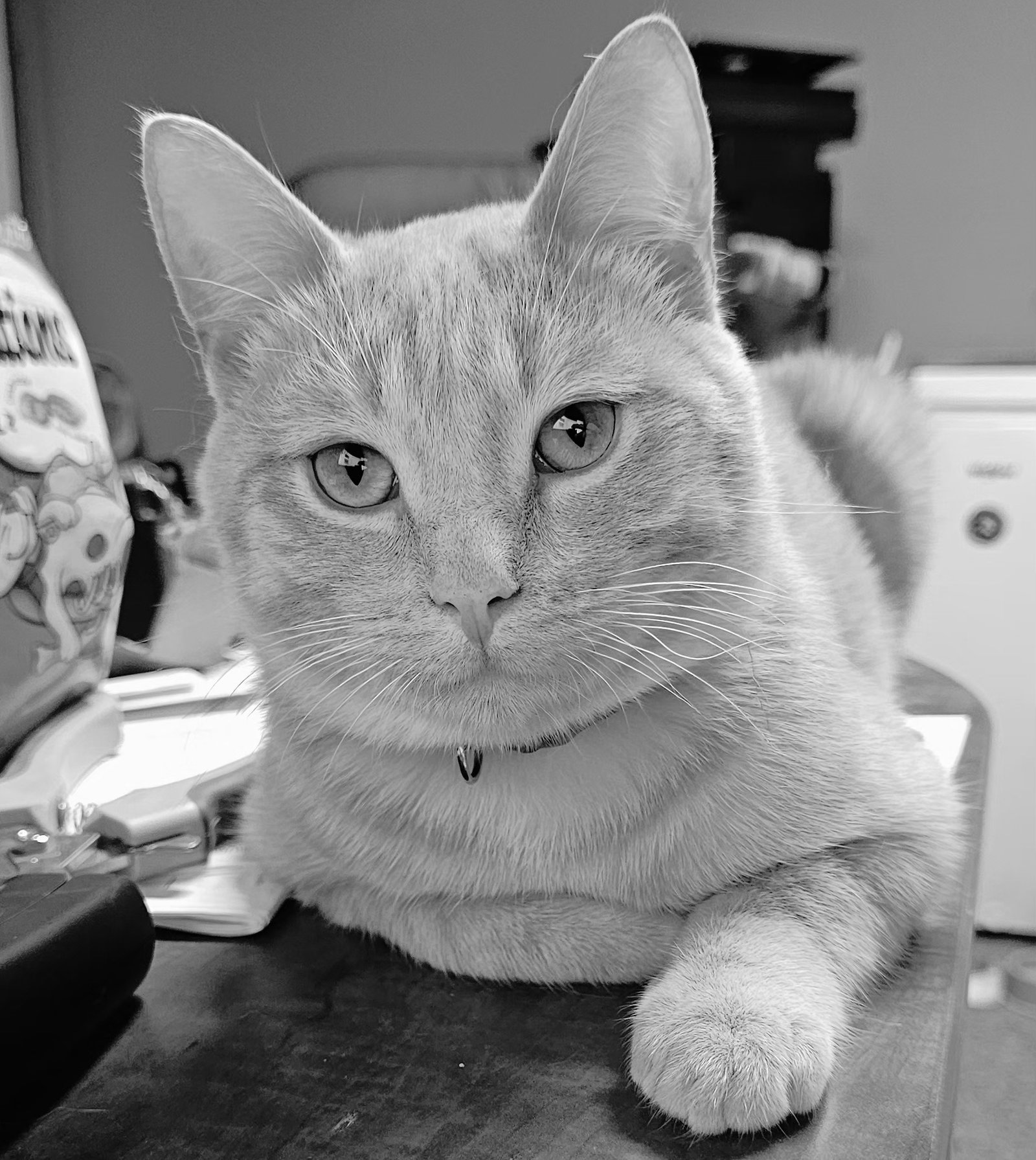 Ralph Image