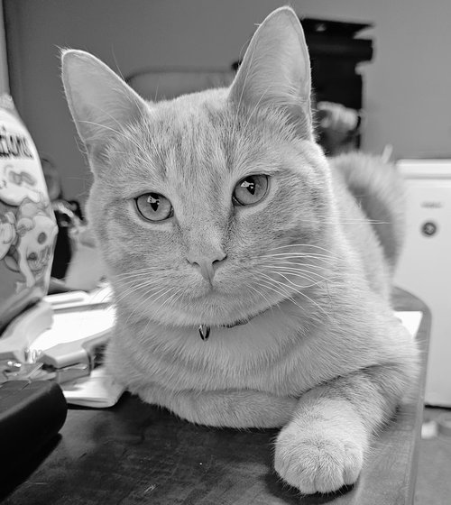 Ralph