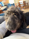 Tilly