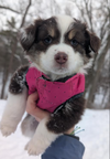 Ellie