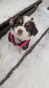 Ellie