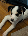 Penny