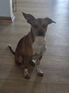 Mika