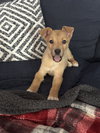 Chester