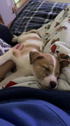 Buster