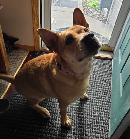 Ethel