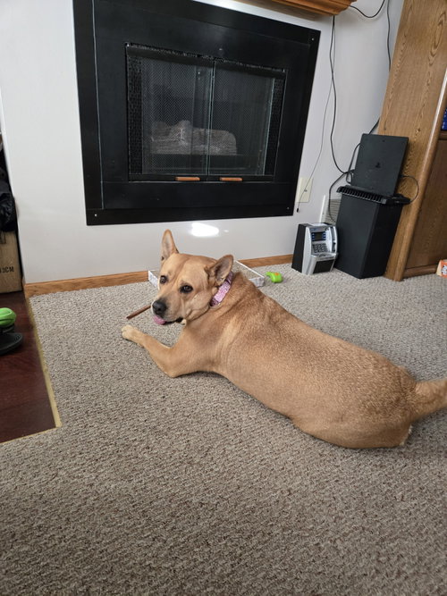 Ethel photo 2