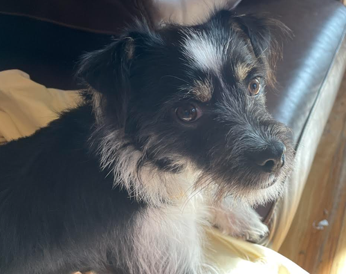 George