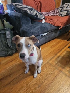 Photo 4 of Nessa