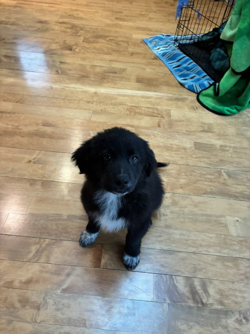 Jake photo 2