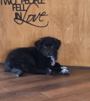 Jake photo 3
