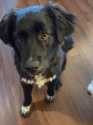 Jake photo 5