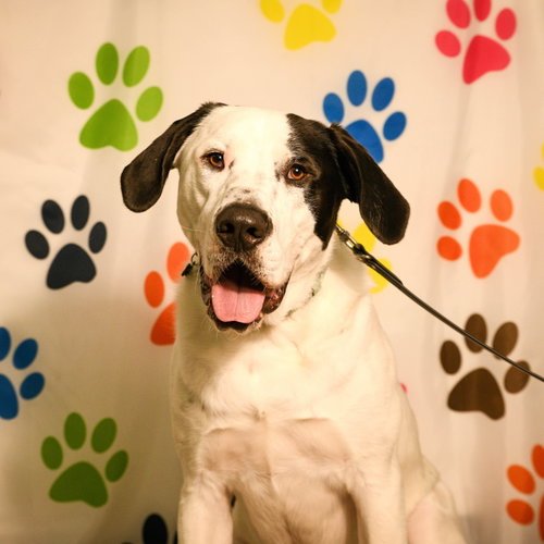Finn photo 6
