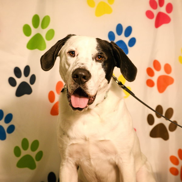 Finn