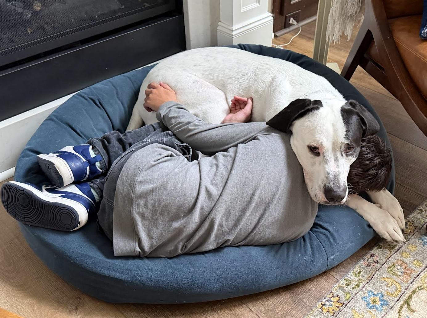 Finn, photo 9