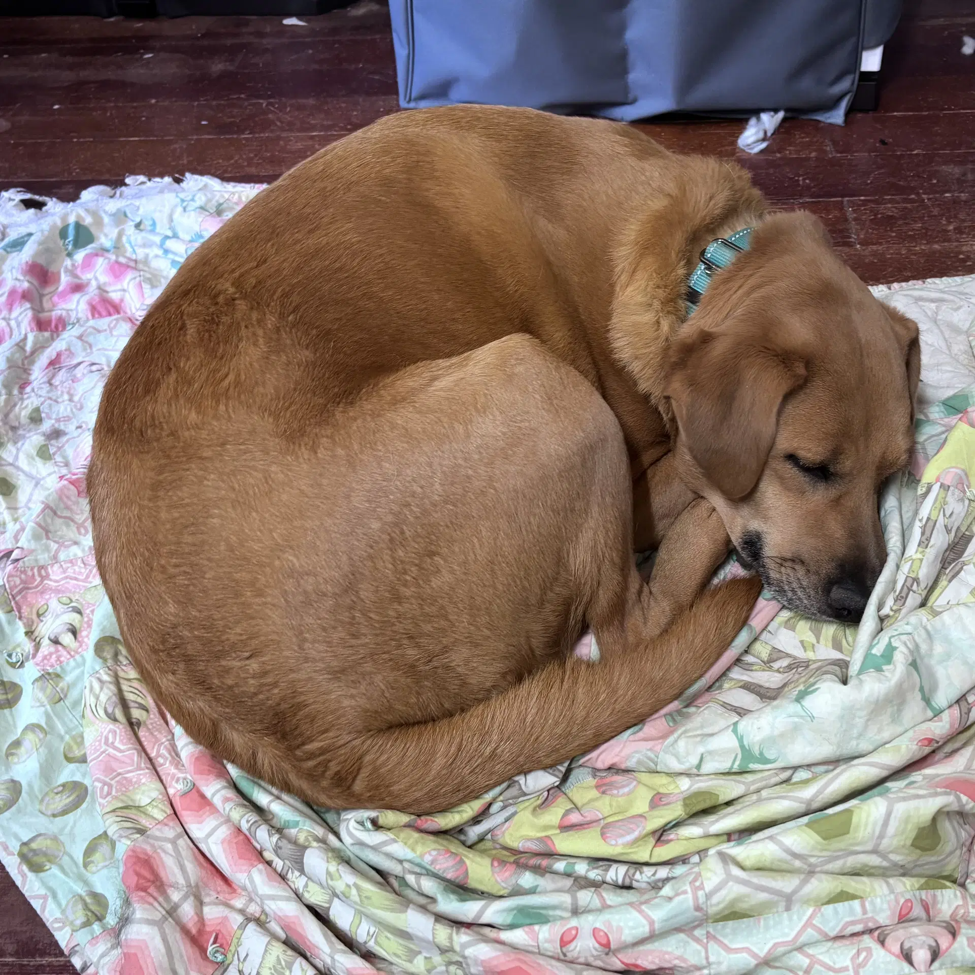 Sally image 3
