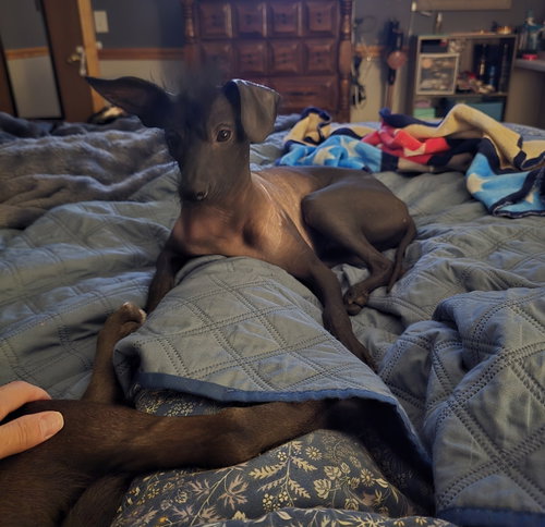 Dante photo 3