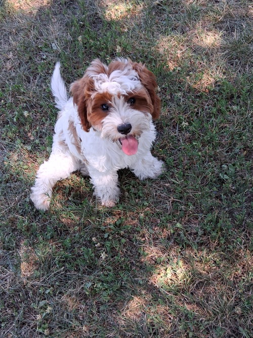 Lola photo 2