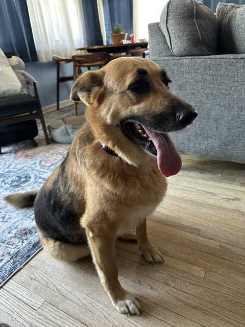 Matilda