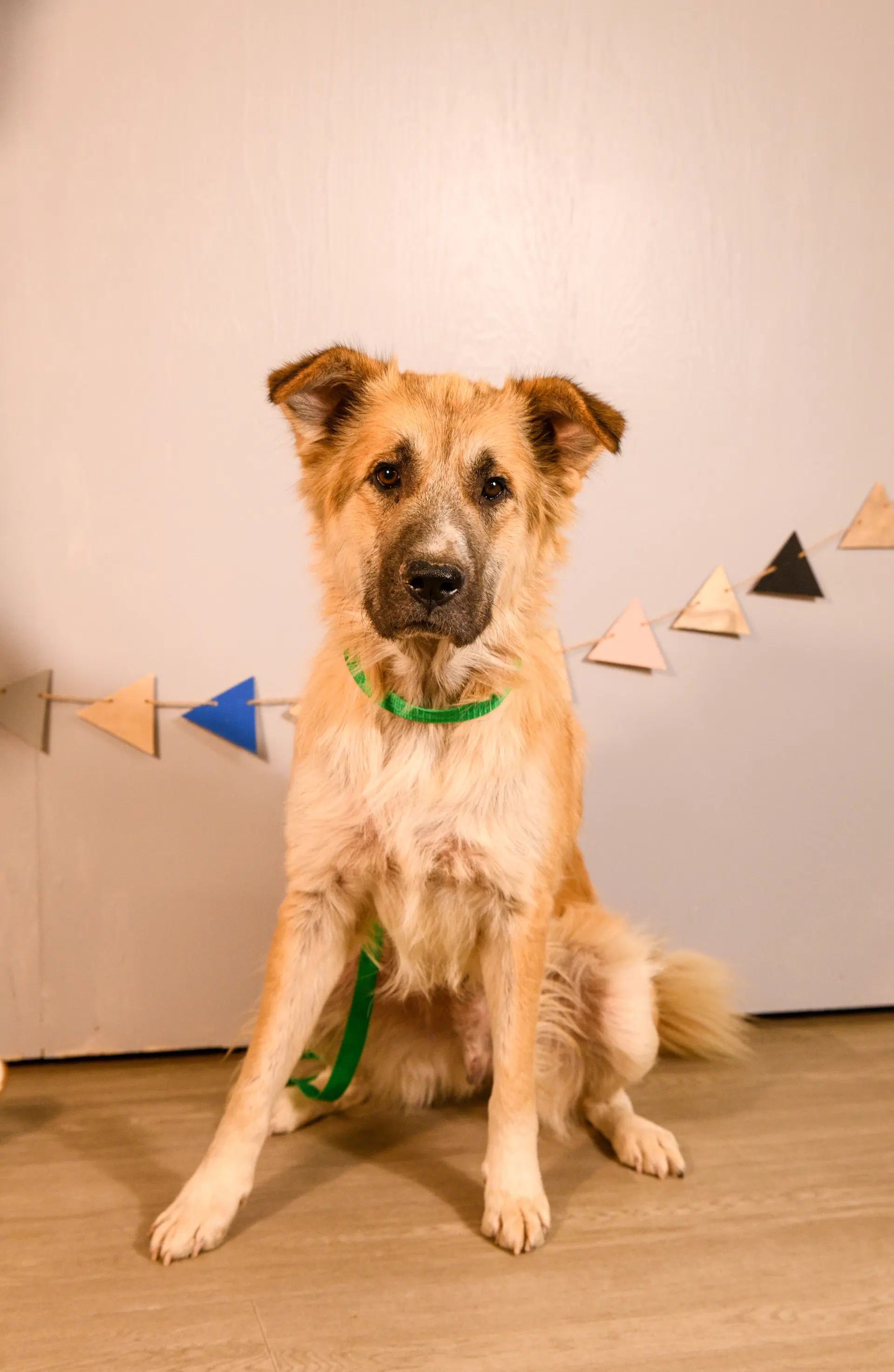 Farley image 4